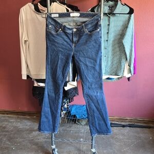 Torrid Blue Flare & Wide Leg Jeans